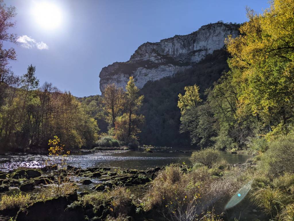 Week 2: Staying&nbsp;put