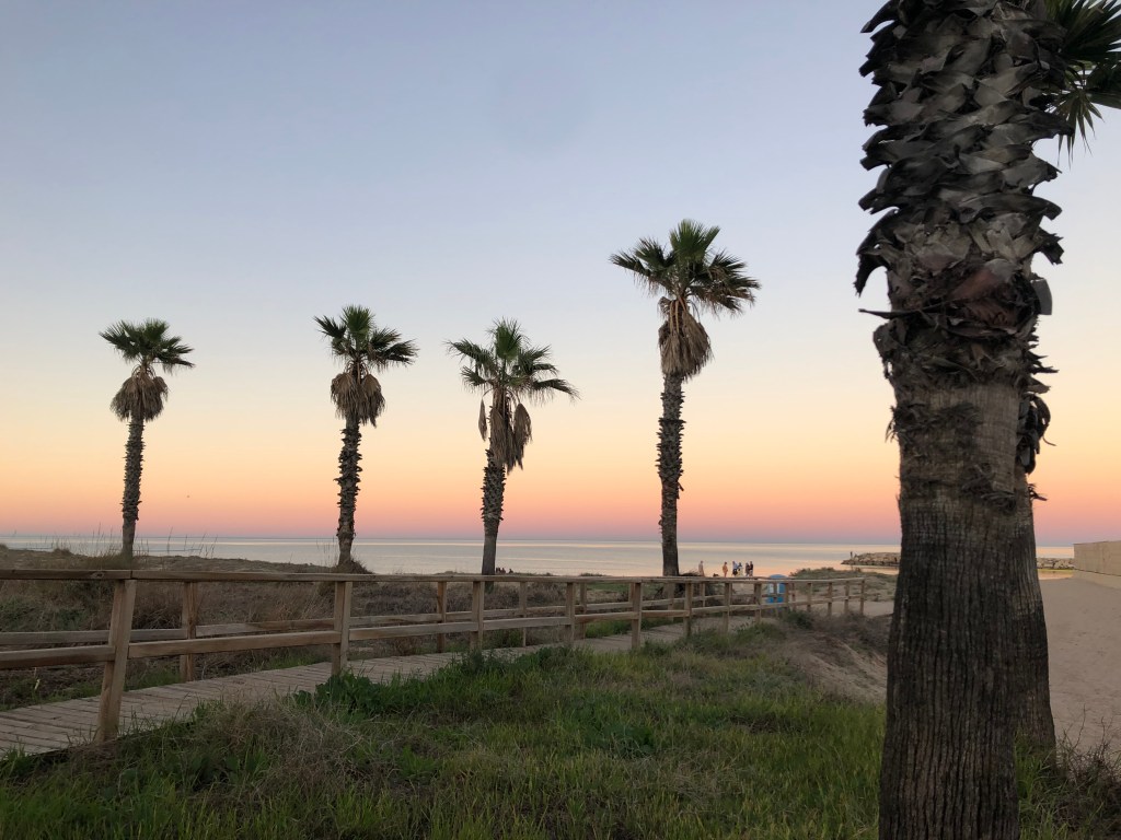 Week 7/8: Festive double&nbsp;edition