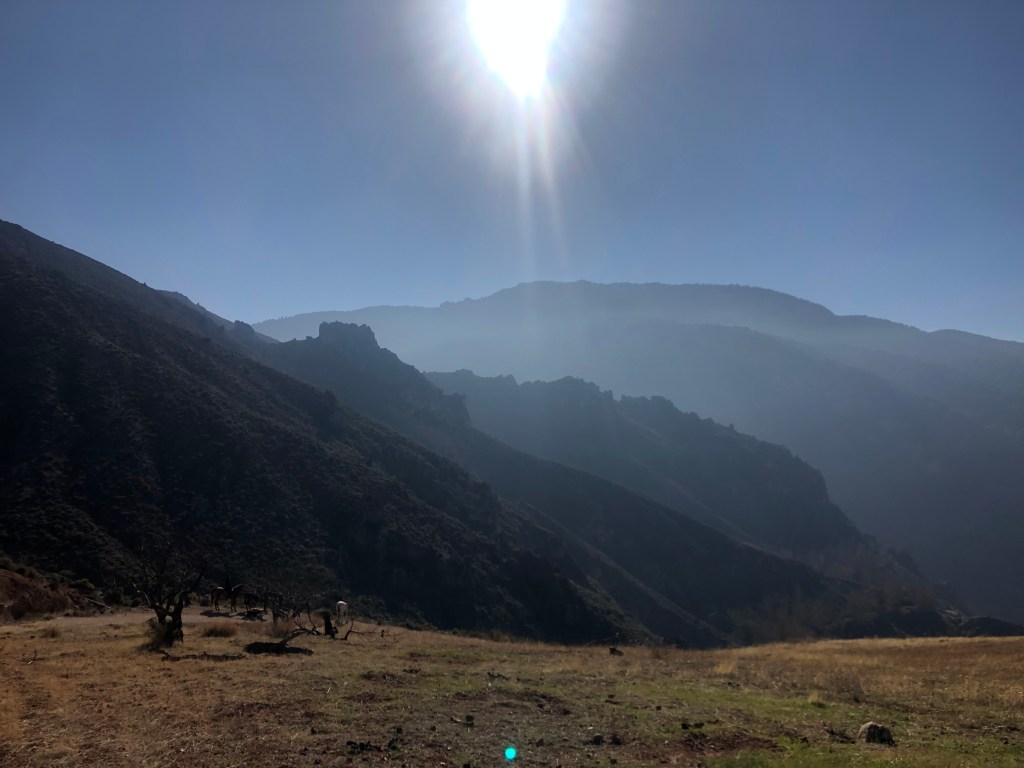 Week 9: Sierra&nbsp;Nevada